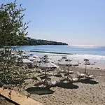 Hotel Olive
