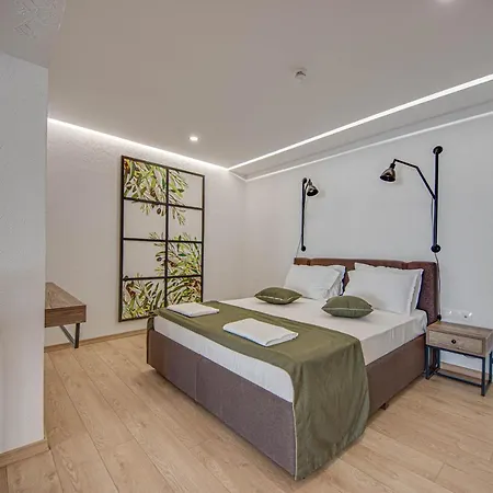 Olive 酒店 索佐波尔