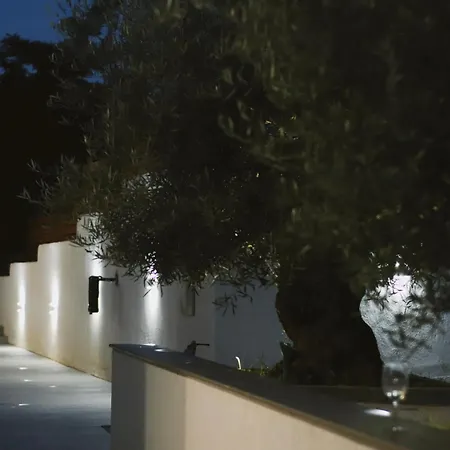 Olive Σωζόπολη