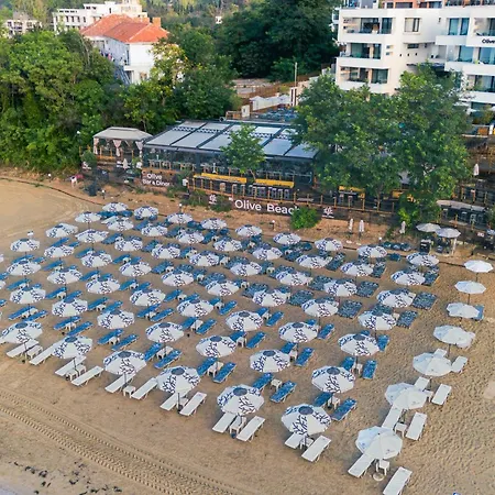Olive Hotel 5*