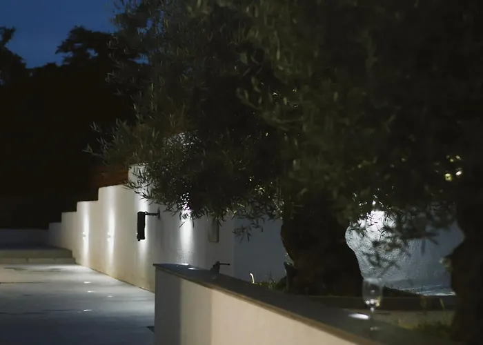 Olive Созополь