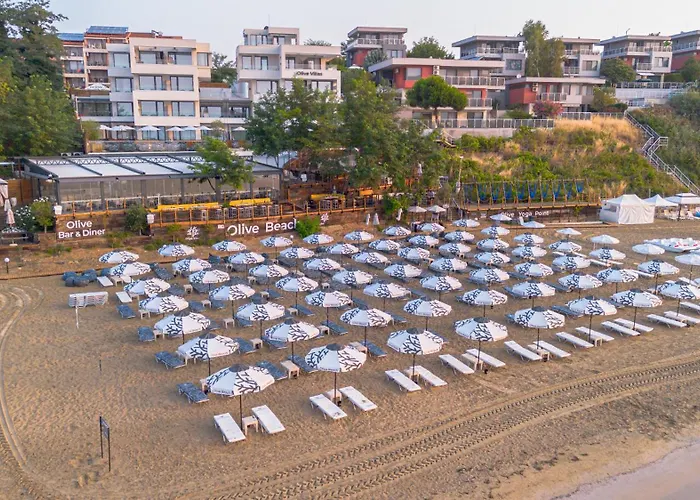 Olive Созополь