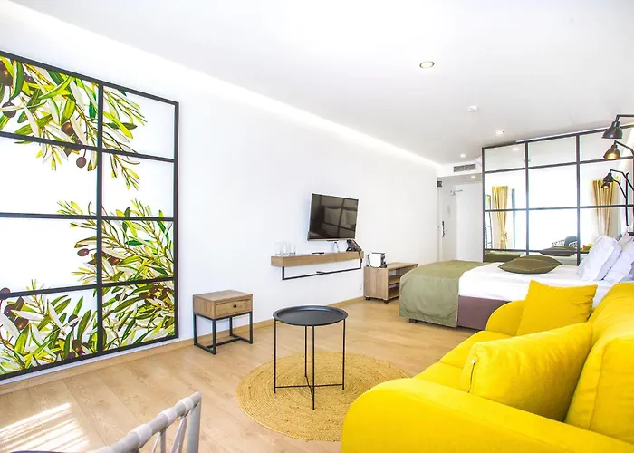 Отель Olive Созополь